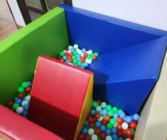 Sagacious best Autism Center